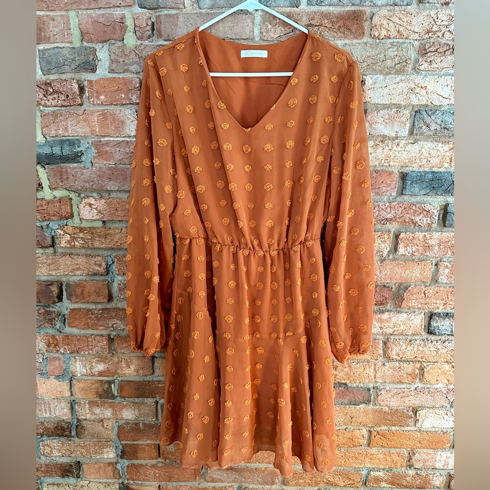 Orange Swiss Dot Embroidered Dress